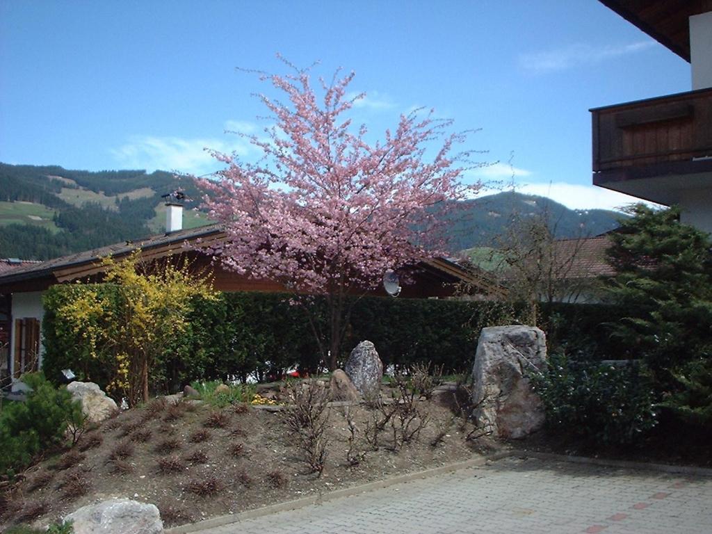 Pension Fuchs Brixen im Thale Dış mekan fotoğraf